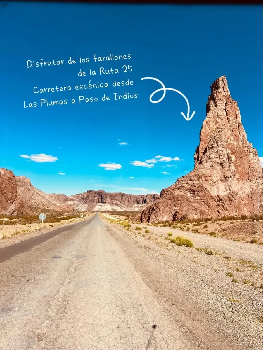 Carretera escénica de la Ruta 25 en Chubut, cerca de Las Plumas