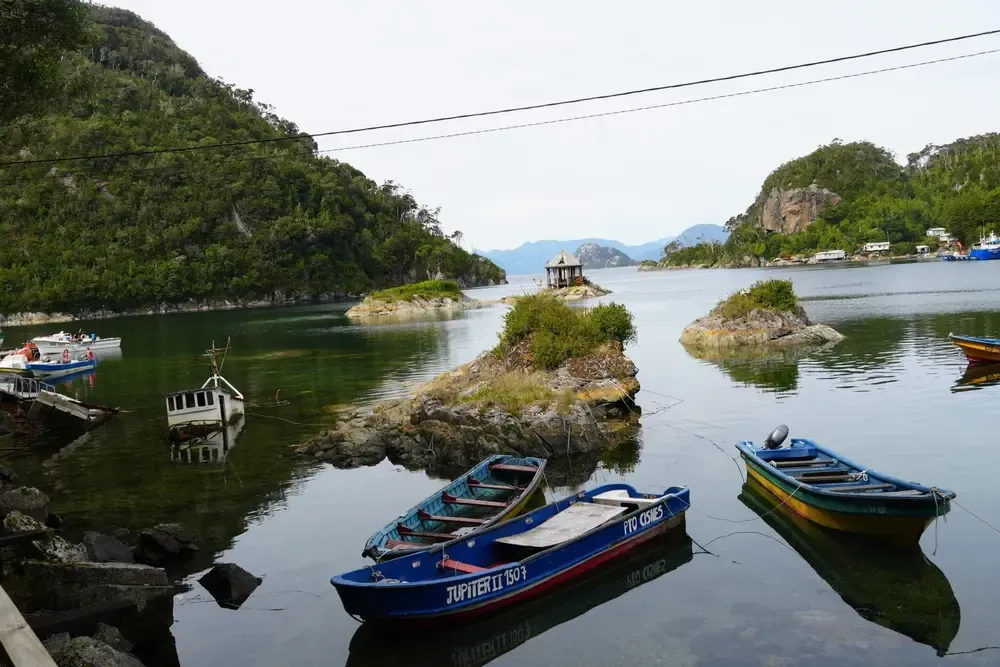 Barcos turísticos en excursiones de avistamiento de ballenas en Chile