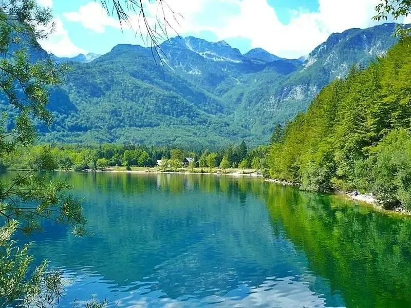 Lago Bohinj