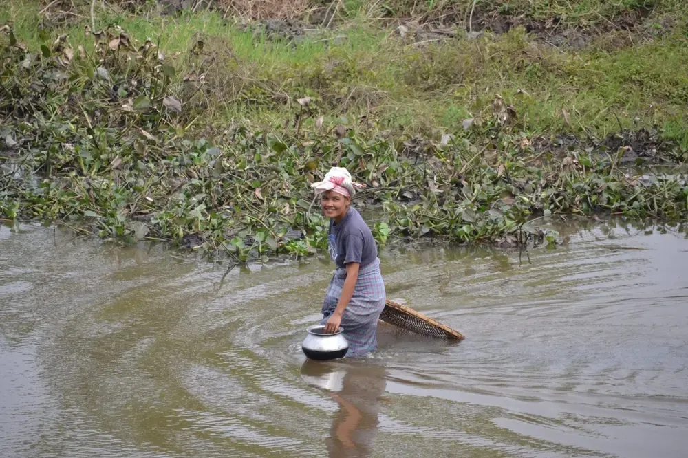Mujer trabajando en el campo