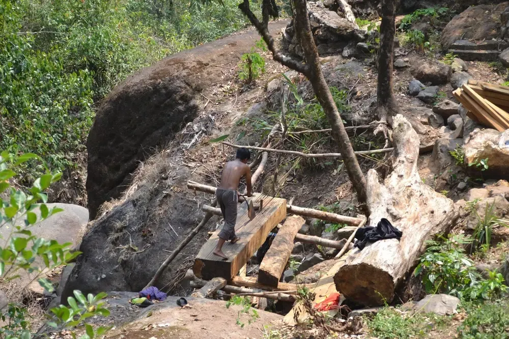 Construyen las casas con madera de los árboles