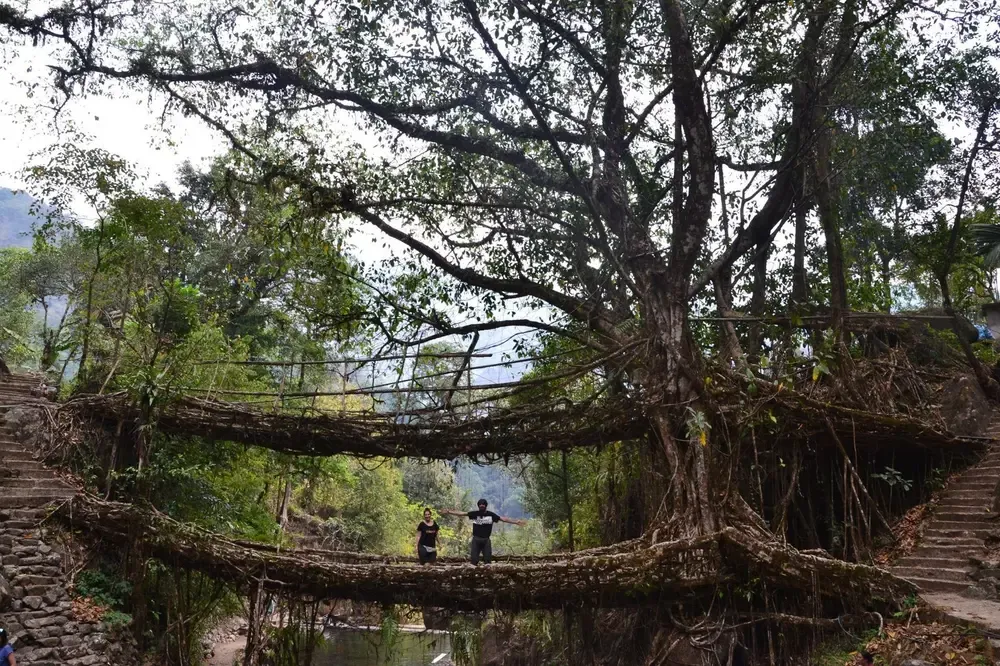 Guía para viajar a Meghalaya. El triángulo verde de India desconocida