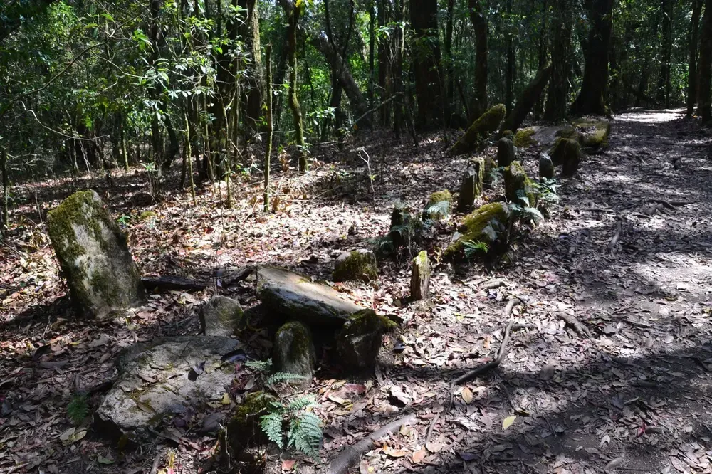 meghalaya