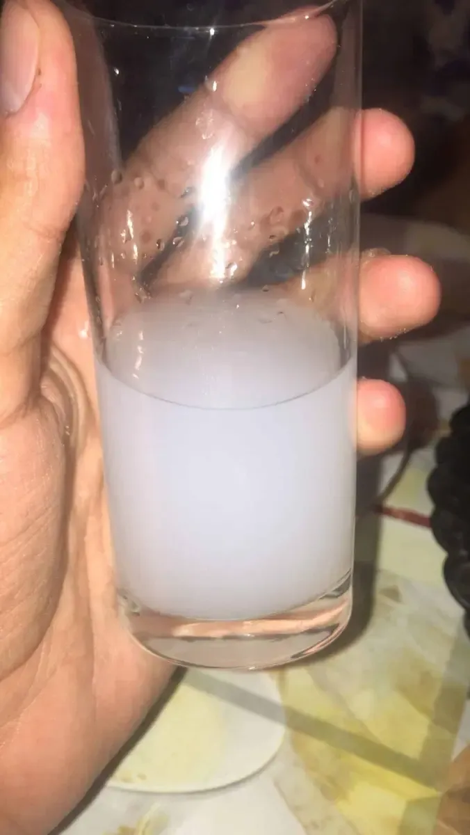 Raki, bebida alcoholica tipica de Turquía