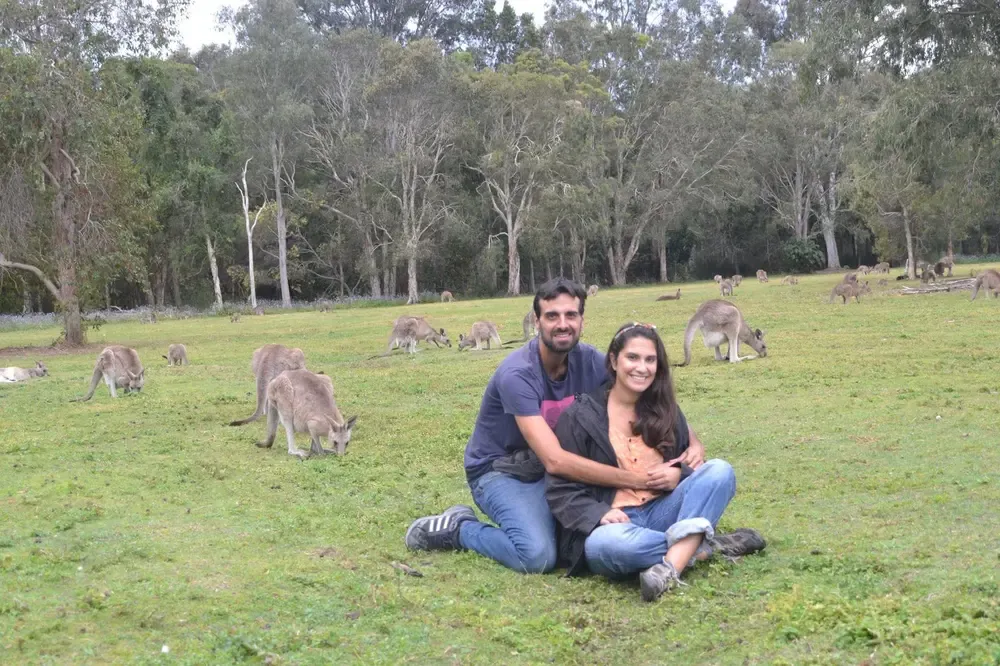 Viendo canguros australianos
