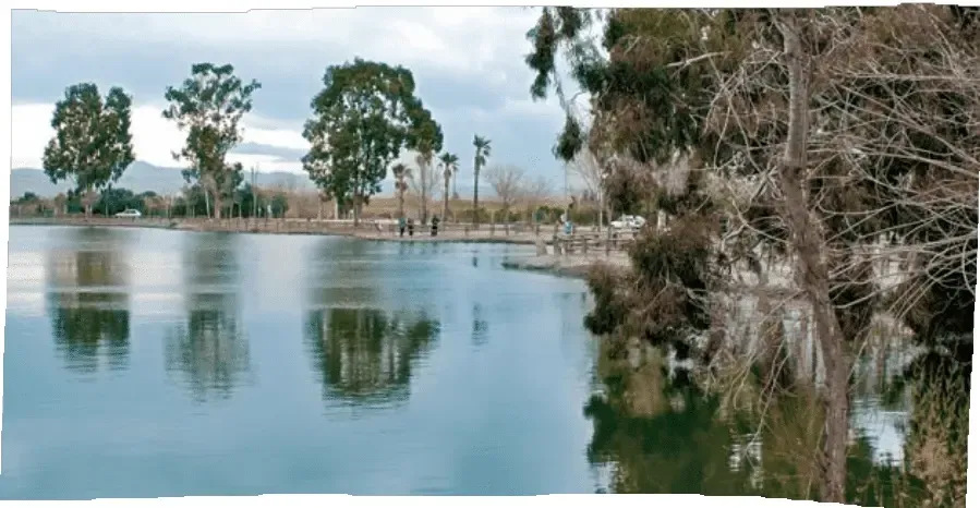 Paraje natural de L'Estany (Nules, Castellón)