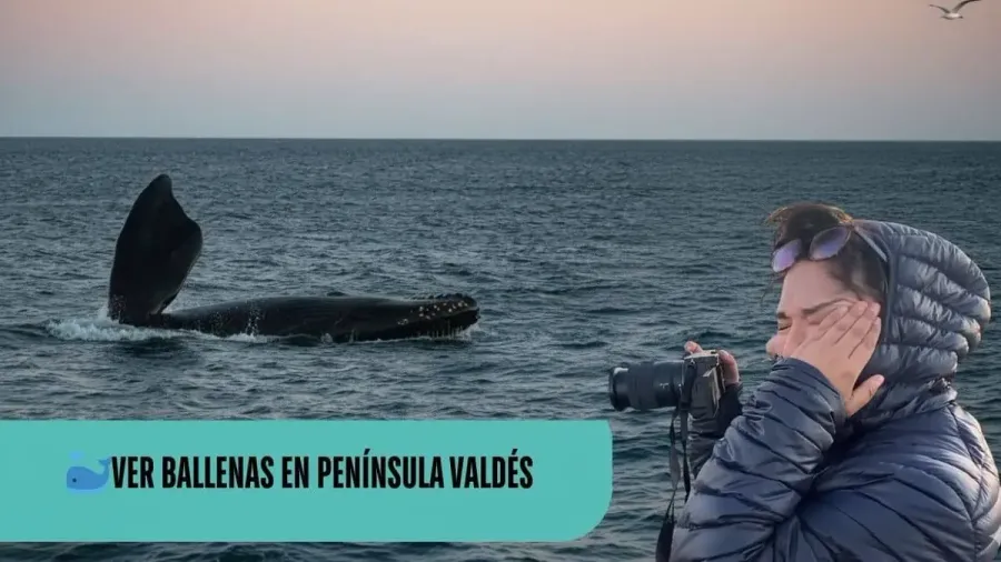 Cris emocionada con una cámara frente al mar, con una ballena asomando la cola, bajo el texto «Ver ballenas en Península Valdés»